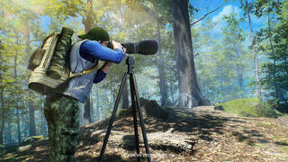 Birding Simulator: Bird Photographer