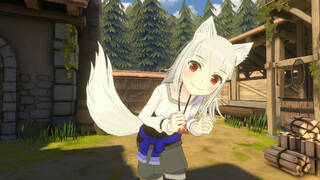 Spice&Wolf VR2