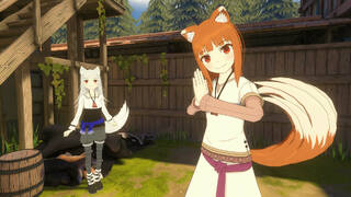 Spice&Wolf VR2