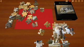 Puzzle Together Multiplayer Jigsaw Puzzles