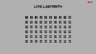 Live Labyrinth