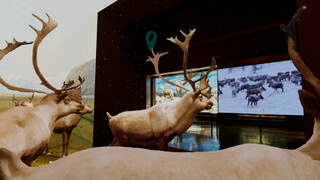 Beyond The Diorama: Caribou World