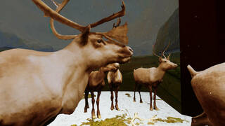 Beyond The Diorama: Caribou World