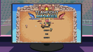 Teamfight Manager