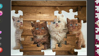 Cat's Life Jigsaw Puzzles