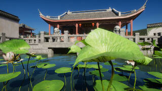 VR Chinese Garden Tour (HD): Flying as a dragonfly