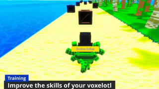 Voxelotl Garden