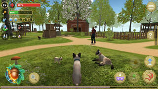 Cat Simulator : Animals on Farm