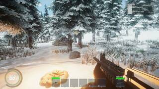 Winter Warfare: Survival