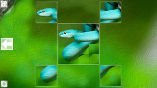 Puzzle Art: Snakes