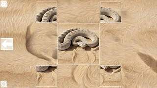 Puzzle Art: Snakes