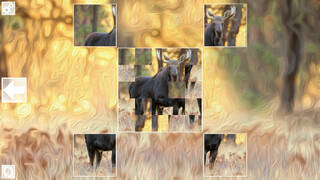 Puzzle Art: Artiodactyls