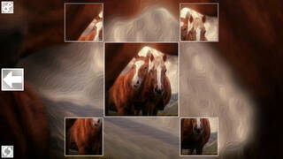 Puzzle Art: Horses