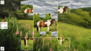 Puzzle Art: Horses