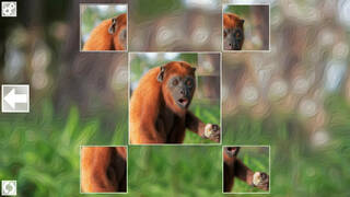 Puzzle Art: Primates