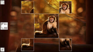 Puzzle Art: Primates