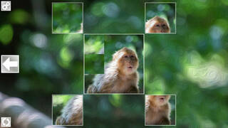 Puzzle Art: Primates