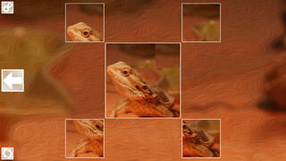 Puzzle Art: Reptiles