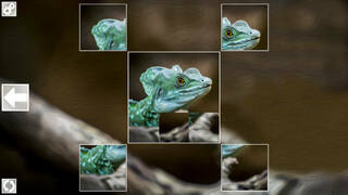 Puzzle Art: Reptiles