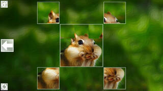 Puzzle Art: Rodents