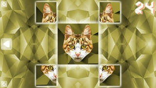 Poly Puzzle: Cats