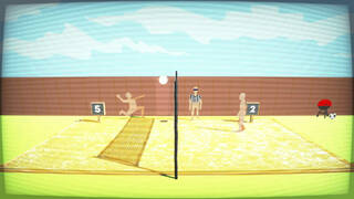 Retired Men's Nude Beach Volleyball League