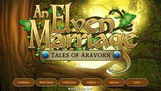 Tales Of Aravorn: An Elven Marriage