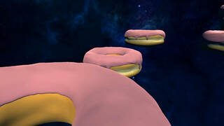 Donuts in Space