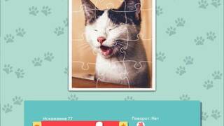 1001 Jigsaw. Cute Cats