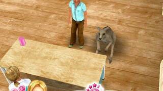 Pet Vet 3D Animal hospital Down Under