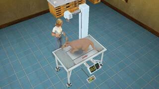 Pet Vet 3D Wild Animal Hospital