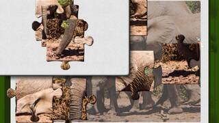 1001 Jigsaw. Wild Animals