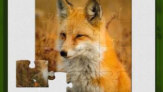 1001 Jigsaw. Wild Animals