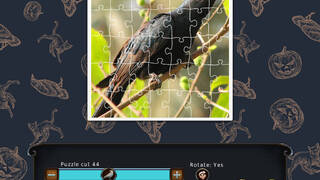 1001 Black Raven Jigsaw