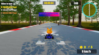 Retro Karting 22