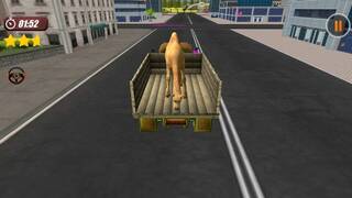 Animals Transport Simulator