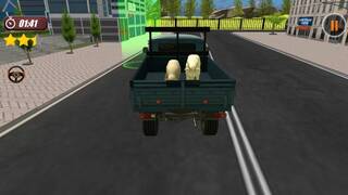 Animals Transport Simulator