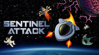 Sentinel Attack