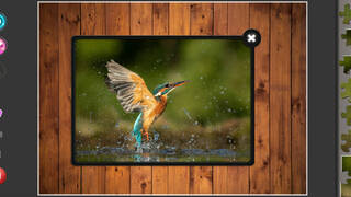 Nature & Wildlife - Jigsaw Puzzle