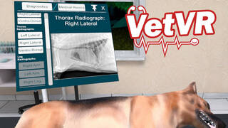 VetVR Veterinary Simulator