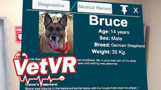 VetVR Veterinary Simulator