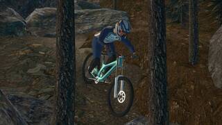 Downhill Pro Racer