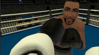 Golden Gloves VR