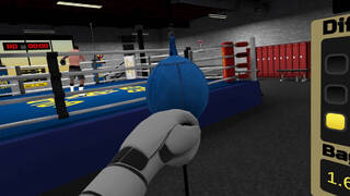 Golden Gloves VR