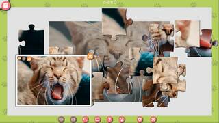 1001 Jigsaw. Cute Cats 3