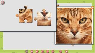 1001 Jigsaw. Cute Cats 3