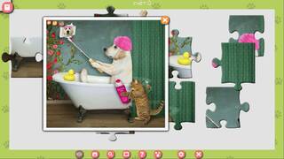 1001 Jigsaw. Cute Cats 3