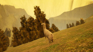 Mountain Alpaca