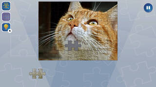 Jigsaw Puzzle Fever