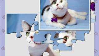 1001 Jigsaw. Cute Cats 4